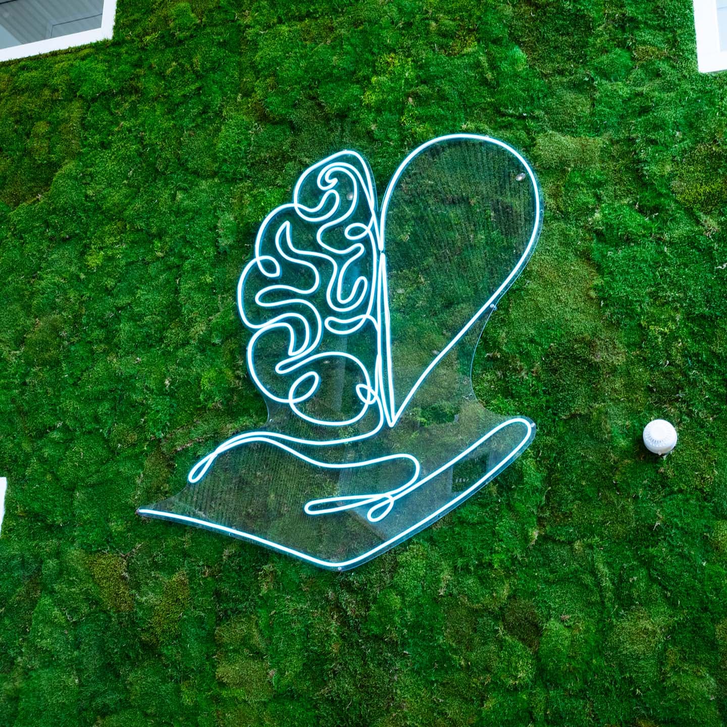 Neon lampen kunstwerk in de vorm van een hand die een brein en hart vasthoudt, geplaatst op een groene moswand.